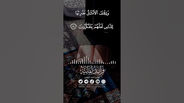 القارئ أحمد النفيس سورة الحشر ٢١_٢٢