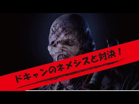 【DbD】ネメシスとチェイス-【デッドバイデイライト】