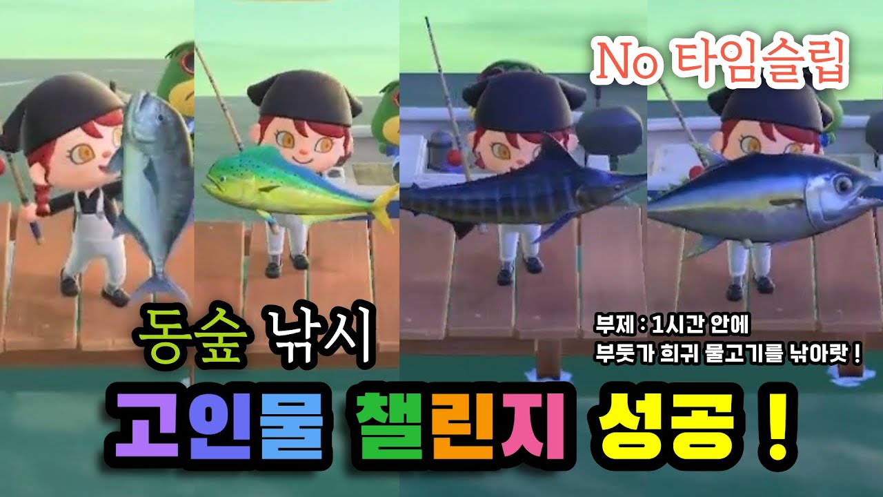[모동숲｜일상] 부둣가 희귀 물고기 올클리어! 🎣 아오니님 챌린지 33분 컷으로 성공했습니다!!ㅣACNHㅣあつ森