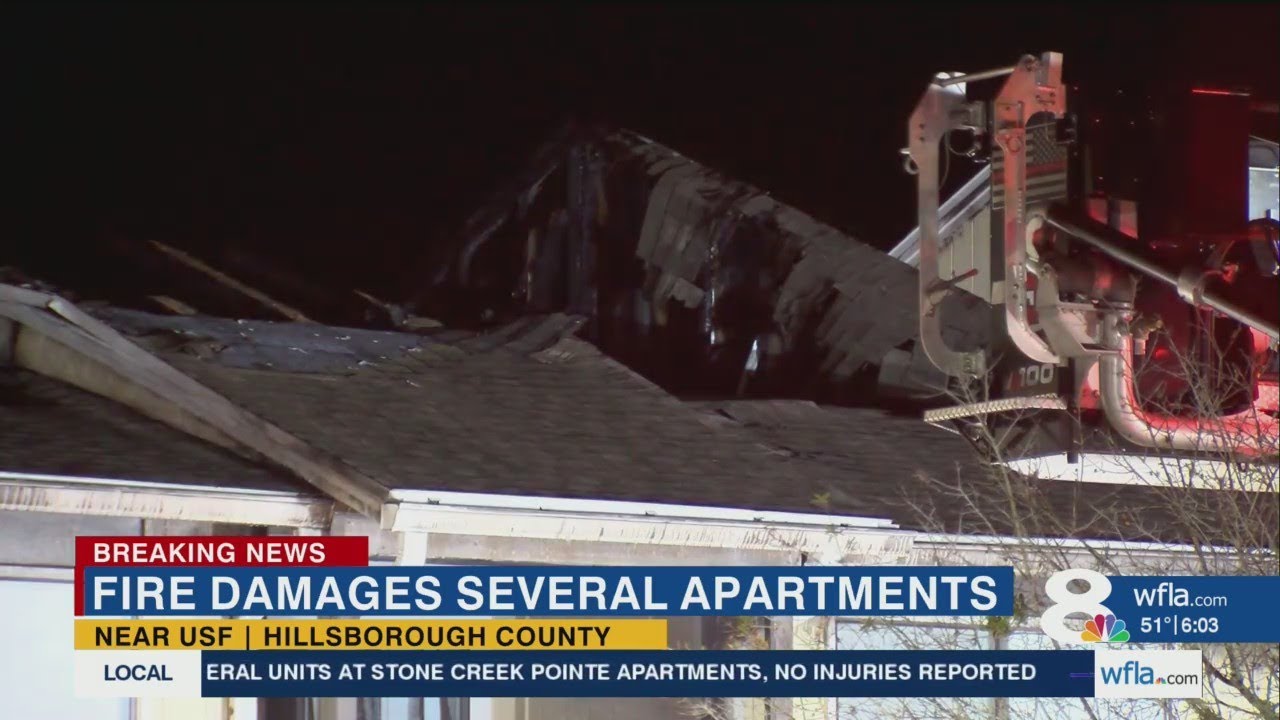 8 units damaged after fire rips through apartment complex near USF ...