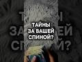 НЕОЖИДАННАЯ ПРАВДА 😲 #таро #любовь #vedascara