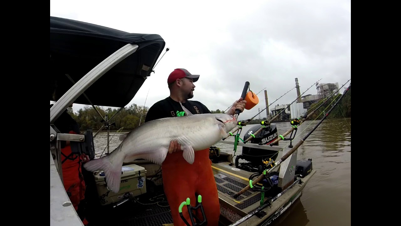 upper james river catfishing YouTube