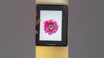 Procreate tip: export and time-lapse videos!