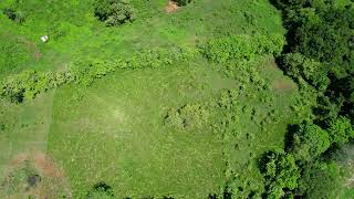 Two-Hectare Development Parcel on the Airport Road PEDASI 5154 FOR SALE Panama Real Estate screenshot 5