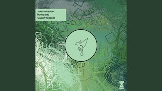 Flying Bird - Jared Marston