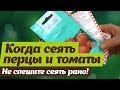 Сроки посева семян.  Когда сеять перцы и помидоры на рассаду