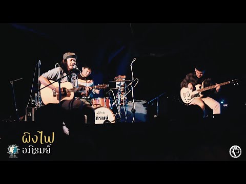 ผิงไฟ อภิรมย์ ( LIVE ) @Meechue Folk Festival 2