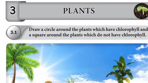 Ennum Ezhuthum 4th standard science term 2 unit 3 plants work book answers English medium