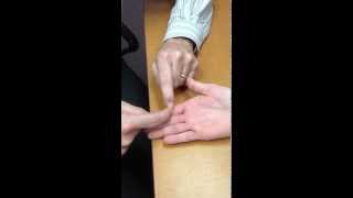 Dip Flexion Flexor Digitorum Profundus 1