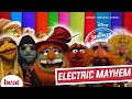 Harry Styles Looks Like Gonzo?! | Electric Mayhem Interview