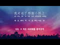 桥边姑娘-다리옆 아가씨/중국음악 --20번 반복