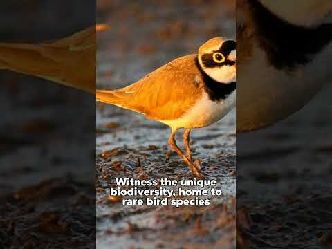 Chatyr Kul Lake Kyrgyzstan