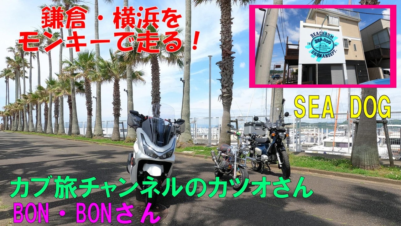 Monkey] Going to buy a T-shirt at SEA DOG in Shonan. [Cub Travel