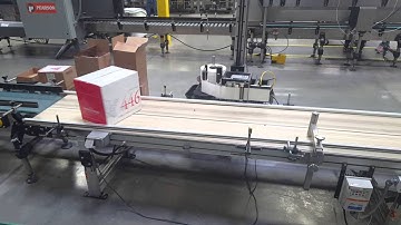 Delicato Napa Bottling case labeler conveyor