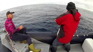 PESCA RADICAL TENERIFE JIGGING