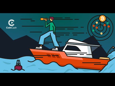 CoinCash Weekly bitcoin hírösszefoglaló - 11. hét