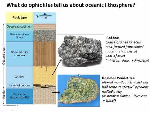 Video: Kāpēc okeāna grēdu tuvumā rodas transformācijas defekti?