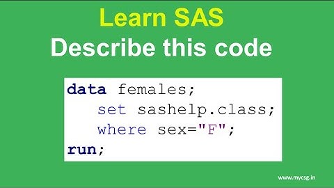 Describe this sas code 1003 - Subset using where statement in data step