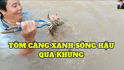 16 GIỜ KHÁM PHÁ SÔNG HẬU PHÁT HIỆN ANH TRAI BẮT TÔM CÀNG XANH KHỦNG 