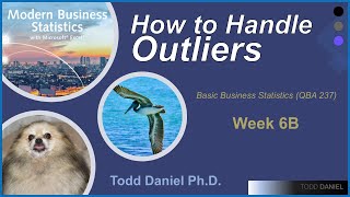 How to Handle Outliers in your Dataset in Business Statistics (Week 6B)