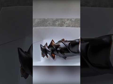 Морские сокровища. Акульи яица