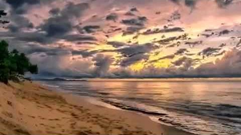 مقتطفات من أجمل تلاوات الشيخ ياسر الدوسري  - روووعه