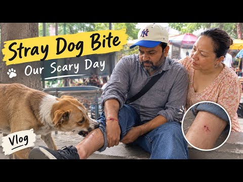 Stray Dog Attack! We Had to Rush for the Anti-Rabies Shot 😰 || Tibetan Vlogger || Mundgod || Delhi 