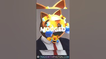 MOGGED 🫵😹. Use Photon to trade smarter. Link in bio to get started. #photon #nft #mogcoin #getmogged