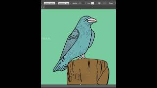 Bird Shorts | adobe illustrator | butter paper |