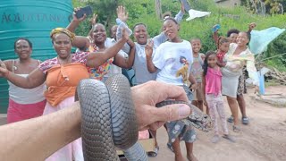Spitting Cobra inside rural family home 
