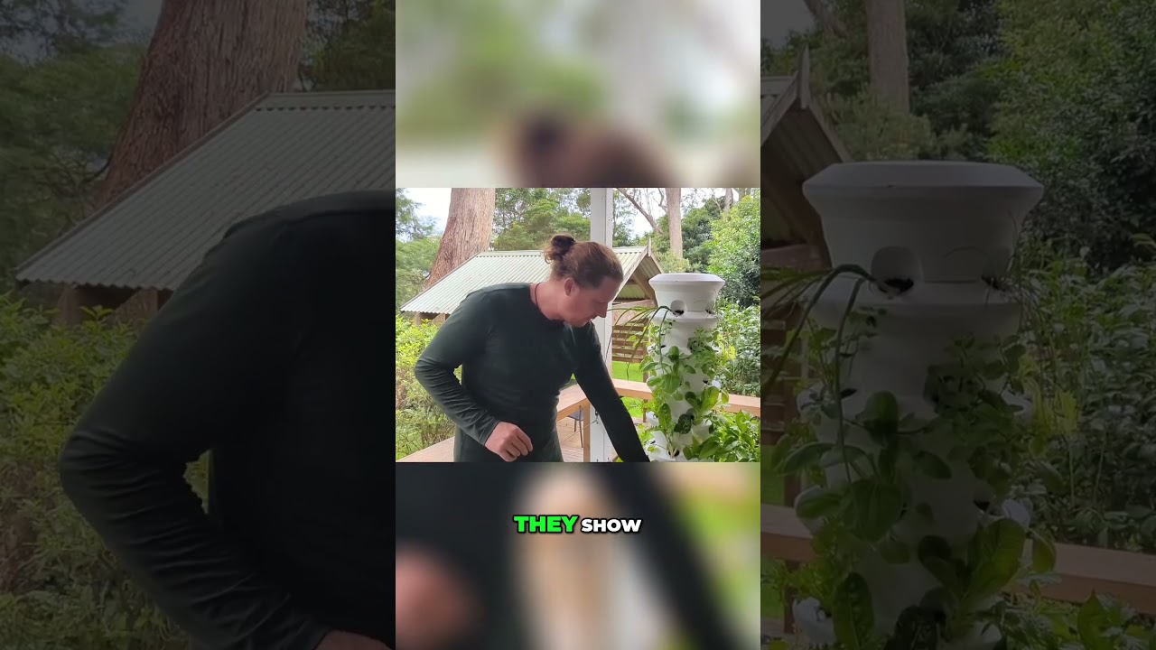 How Airgarden's Design Helps Identify Pests: Gardening Made Simple