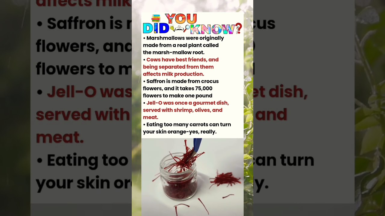 saffron is made from....