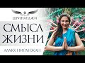 СМЫСЛ ЖИЗНИ | Академия Шринатджи