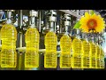 Mega Sunflower Oil Factory | How Sunflowers are Harvested &amp; their Oil Extracted