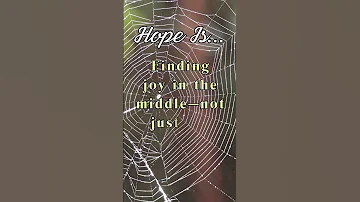 Hope Is Finding Joy In The Middle Not Just The Beginning Or End 