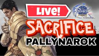THE PALLYNAROK META | Ragnarok Origin Classic