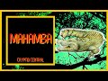 Mahamba A Short Documentary Mahamba A Short Documentary