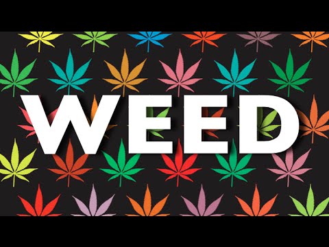 HUGE News For Weed Smokers! [RUBIN140]