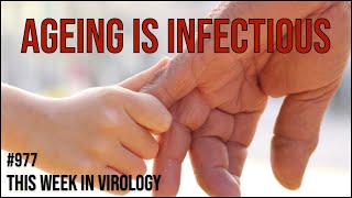 TWiV 977: Ageing is infectious