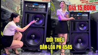 loa PN 4545 loa kéo công suất lớn , loa karaoke loa lưu động loa công suất lớn #loa #loakeocongsuatl