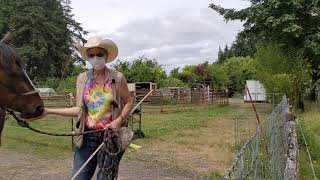 Separating the herd bound horse and keeping things under threshold with clicker training