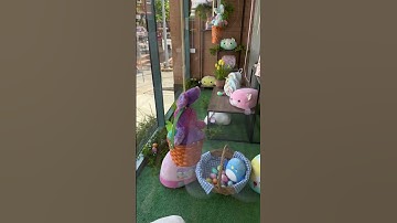 Squishmallows #stuffedtoys #shortvideo #squishmallows #shorts