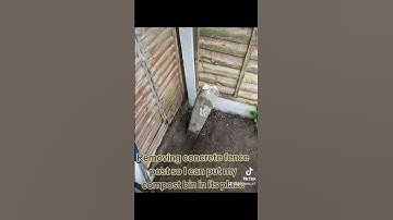 Garden work - Compost Bin placement