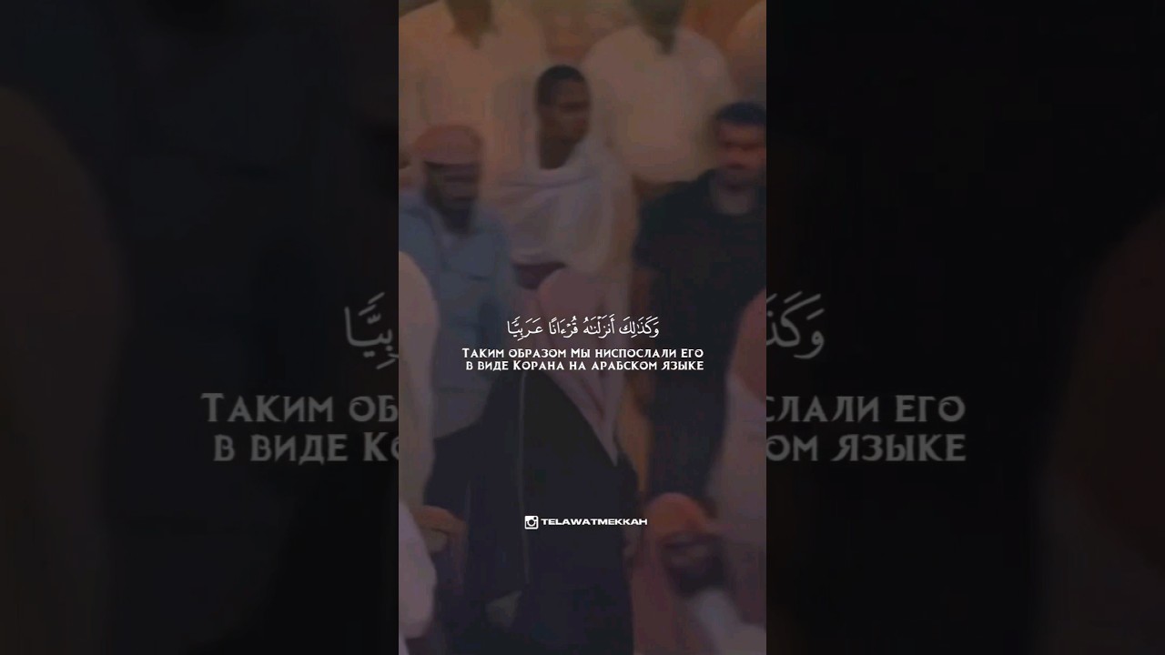 تلاوة قديمة خاشعة للشيخ أ.د #سعود_الشريم #تراويح_رمضان
