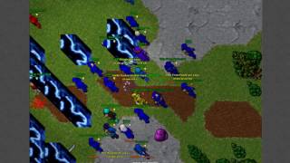 Originaltibia.com v2 Carlin