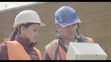 Trik: drone 3D mapping and 3D reporting software for structural inspection