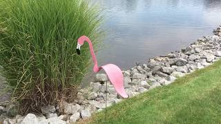 Florida Dancing Birds Pink Flamingo Garden Art