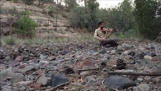 Forest Improvisations - 15