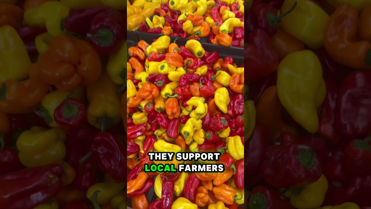 Organic, Local Palm Beach County Florida Market 