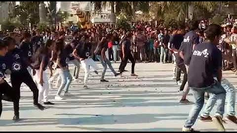 Tkr reinz4 flash mob